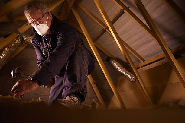 Best Eco-Friendly Insulation in Hebron, PA